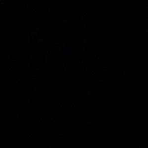 Meet your Posher, Joel